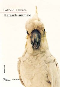 Il grande animale, Gabriele Di Fronzo, Nottetempo