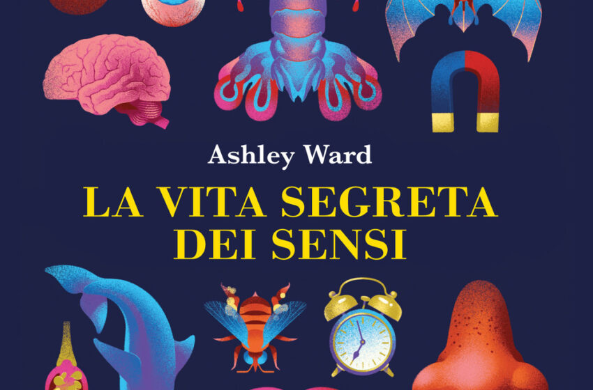 La vita segreta dei sensi – Ashley Ward